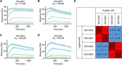 A human monoclonal antibody based immunoenzymetric assay to measure Fel d 1 concentrations in cat hair and pelt allergenic extracts